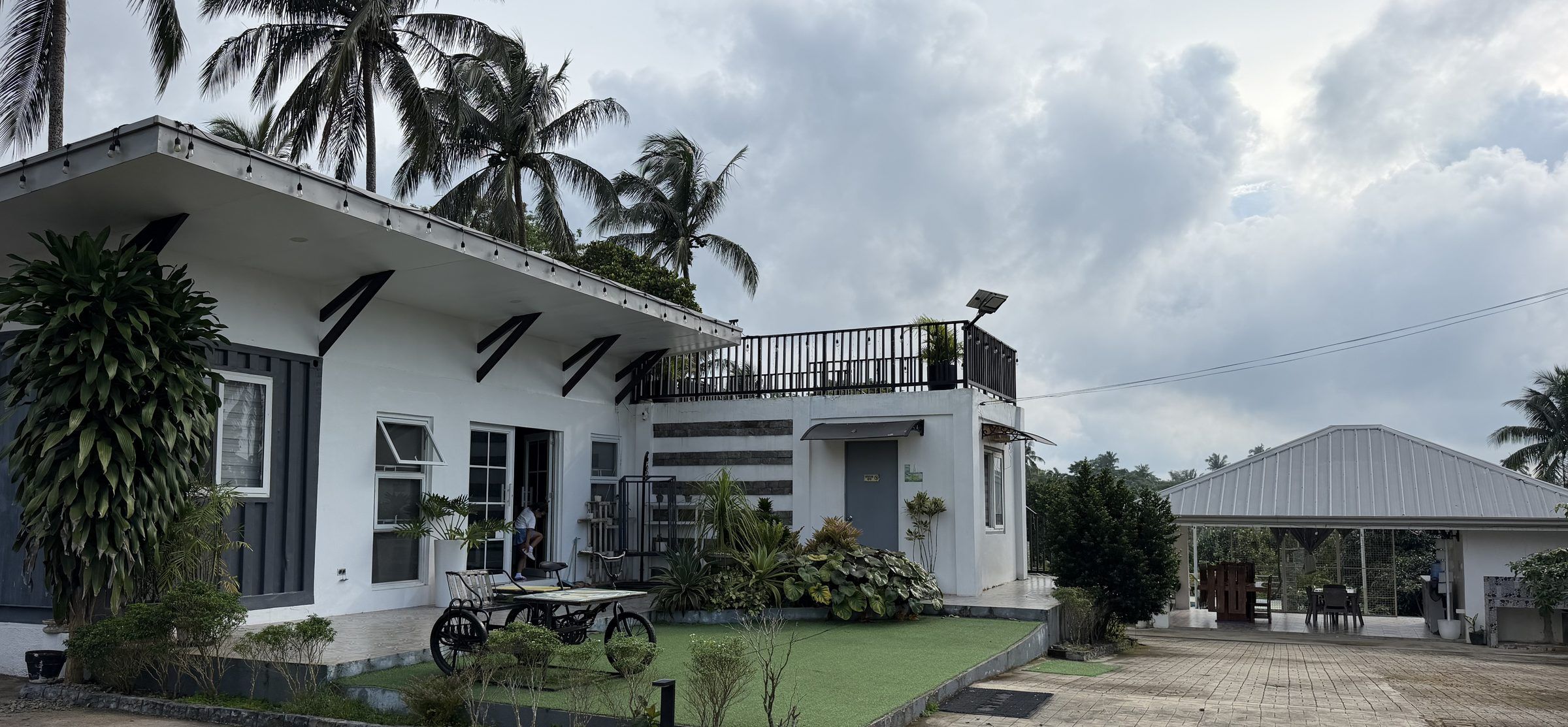 The white main house with navy board walls, black roof brackets and a roof deck, under tall coconut palms